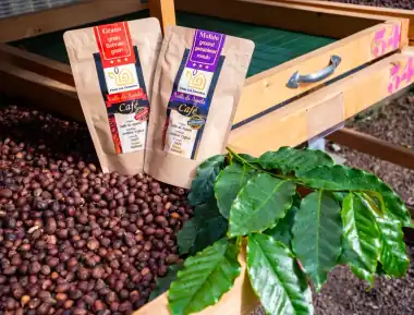 Finca Los Castaños – 13