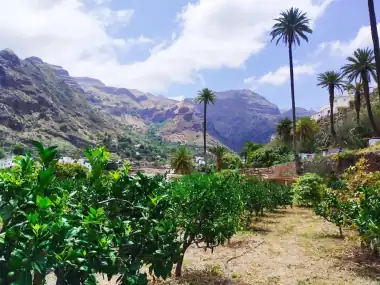 Finca Los Castaños – 16