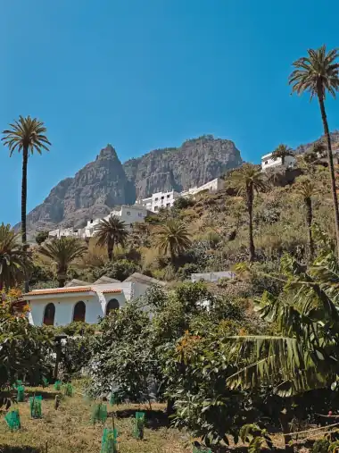 Finca Los Castaños – 26