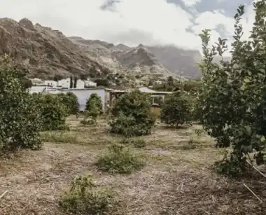 Finca Los Castaños – home 9