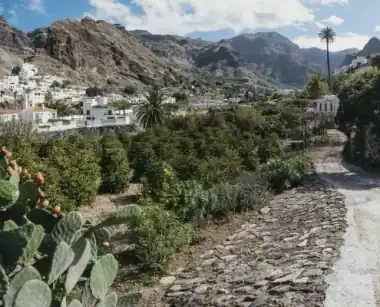 Finca Los Castaños – home 10